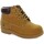 Sapatos Botas Lumberjack 25784-18 Multicolor