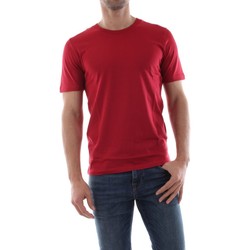 Textil Homem T-Shirt mangas curtas Selected 16057141 THEPERFECT-RIO RED Vermelho