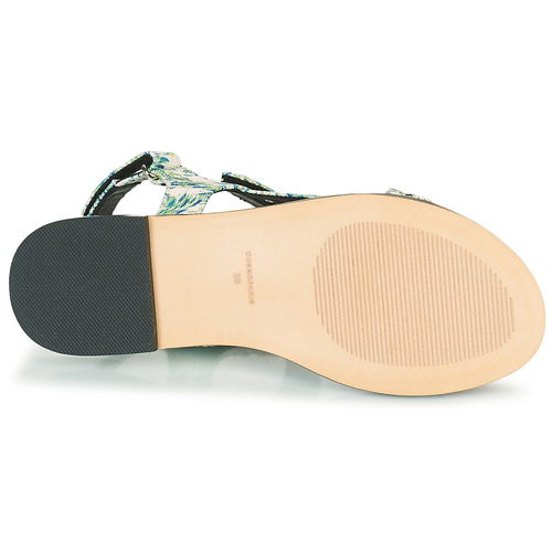 Cosmo Paris HINES-CANVAS Verde / Branco