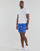 Textil Homem Fatos e shorts de banho Polo Ralph Lauren W221SC13 Azul / Multicolor