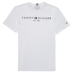 Camiseta Tommy AW0AW11066 branca masculina