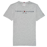 Textil Criança T-Shirt mangas curtas Tommy Hilfiger AIXADA Cinza
