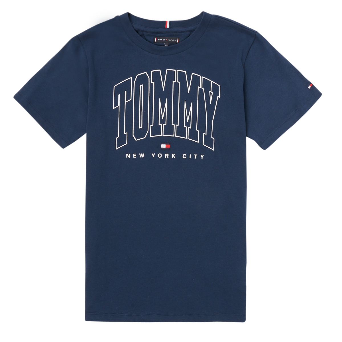 Textil Rapaz T-Shirt mangas curtas Tommy flag Hilfiger AMIANSE Marinho