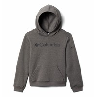 Textil Rapaz Sweats Columbia COLUMBIA TREK HOODIE Cinza