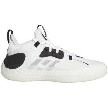 Sapatos Sapatilhas de basquetebol adidas Originals Harden Vol. 5 Futurenatural Branco