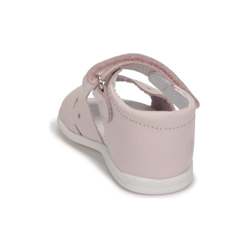 Citrouille et Compagnie NEW 21 Rosa