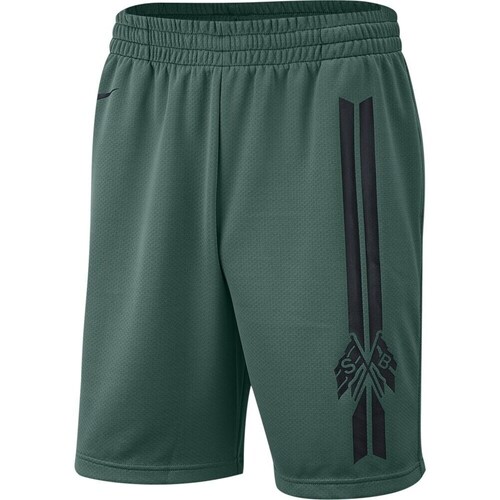 Textil Homem Calças curtas Nike SB Dry Short Gfx Verde