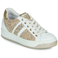 Sapatos Mulher Sapatilhas IgI&CO 1659311 Branco / Bege / Ouro