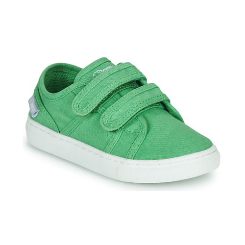 Sapatos Criança Sapatilhas Primigi 1960122 Verde