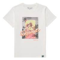 Textil Rapaz T-Shirt mangas curtas Teddy Smith T-ALTO Branco
