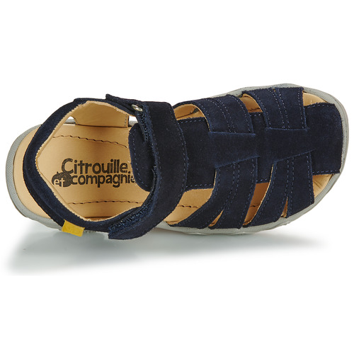 Citrouille et Compagnie FILOLE Marinho