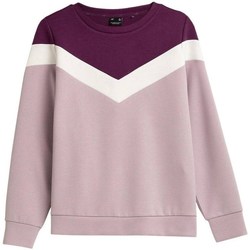 Textil Mulher Sweats 4F BLD025 Cor-de-rosa, Cor cereja