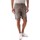 Textil Homem Shorts / Bermudas Bomboogie BMSET T GBT-350 DESERT SAGE Verde