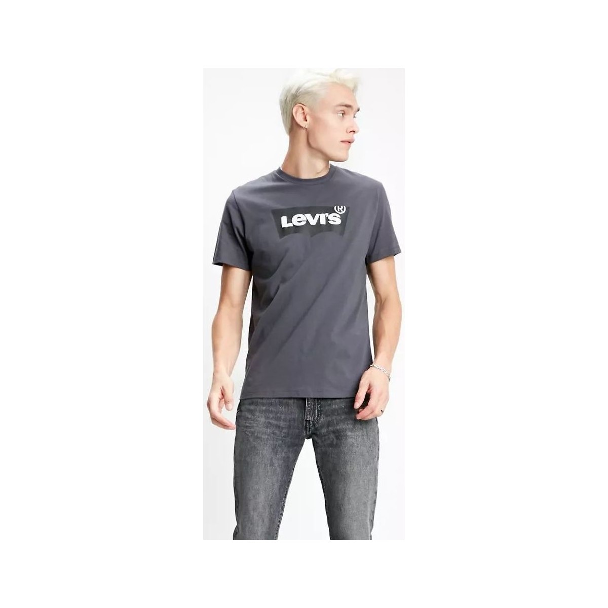 Textil Homem T-shirts e Pólos Levi's 22489 0248 HOUSEMARK TEE-FORGE IRON Cinza
