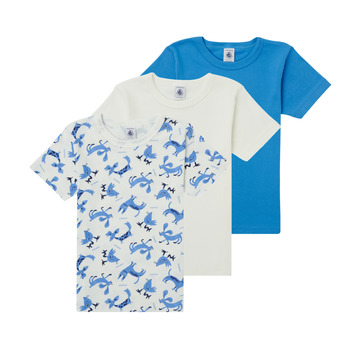 Textil Rapaz T-Shirt chemin mangas curtas Petit Bateau ADRIAN Multicolor
