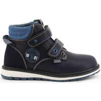 Sapatos Homem Botas Shone - 6565-015 Azul
