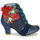Sapatos Mulher Botins Irregular Choice Winter Blooms Azul / Vermelho