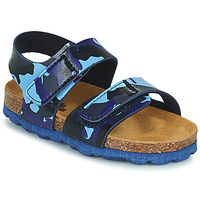 Sapatos Rapaz Sandálias Painéis de Parede BELLI JOE Azul / Camuflagem