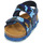 Sapatos Rapaz Sandálias Citrouille et Compagnie BELLI JOE Azul / Camuflagem