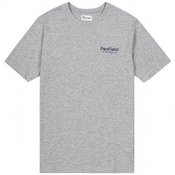 Textil Homem T-Shirt mangas curtas Penfield T-shirt  Hudson Script Cinza