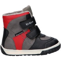 Sapatos Criança Botas de neve Kickers 585574-10 SITROUILLE WPF Gris