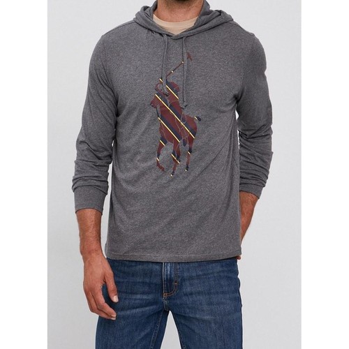 Textil Homem Sweats Ralph Lauren 710853277001-8-1 Cinza