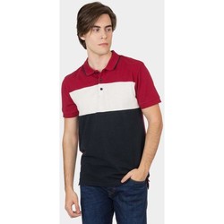 Textil Homem T-shirts e Pólos Tiffosi 10032151-3-3 BORDEAUX