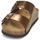 Sapatos Mulher Chinelos Scholl JOSEPHINE Bronze
