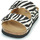 Sapatos Mulher Chinelos Scholl JOSEPHINE Zebra