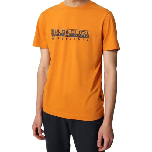 Textil Homem T-Shirt polo mangas curtas Napapijri 178246 Laranja