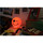 Casa Criança Lâmpadas Emoji 4850595 Amarelo