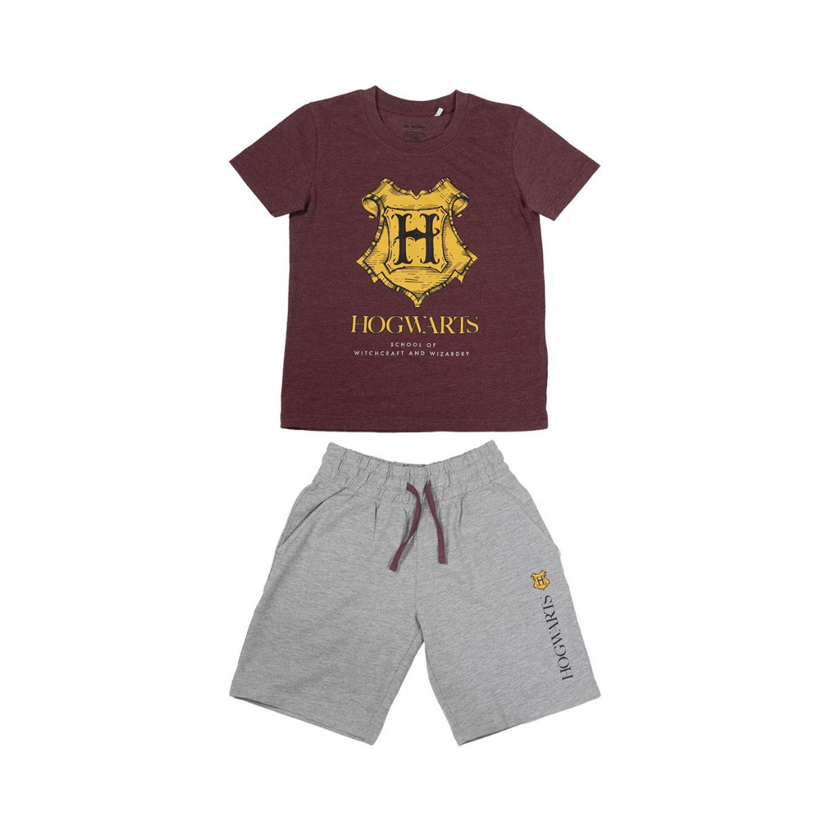 Textil Rapaz Pijamas / Camisas de dormir Harry Potter 2200007016 Vermelho