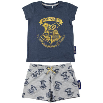 Textil Rapariga Pijamas / Camisas de dormir Harry Potter 2200007021 Azul