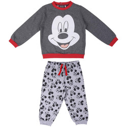 Textil Criança Todos os fatos de treino Disney 2200006163 Gris