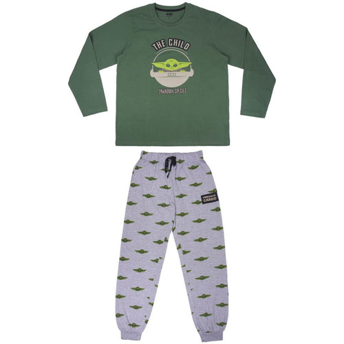 Textil Homem Pijamas / Camisas de dormir Disney 2200006717 Verde