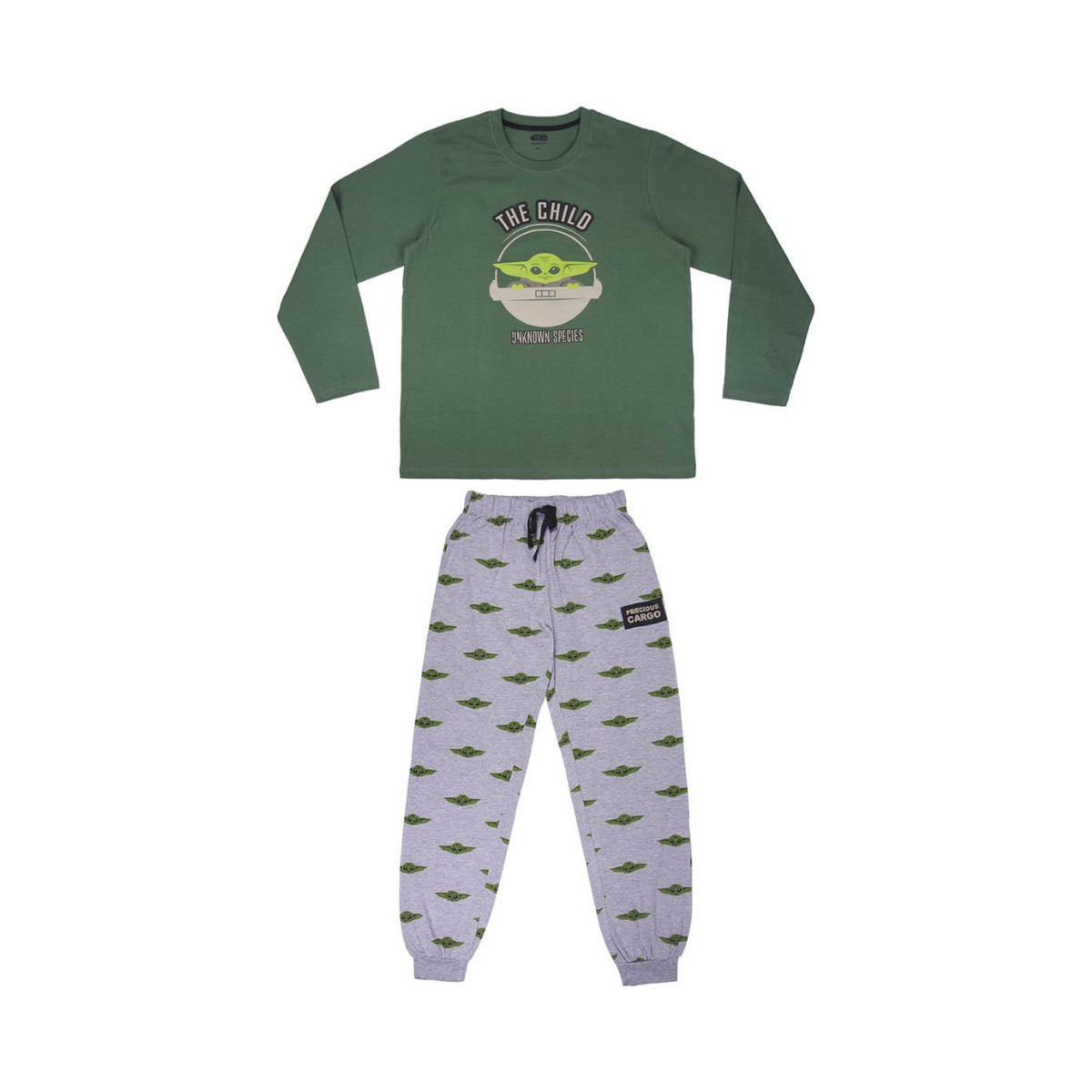 Textil Homem Pijamas / Camisas de dormir Disney 2200006717 Verde