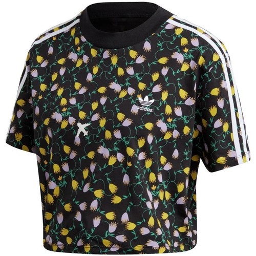 Textil Mulher T-shirts e Pólos adidas Originals Crop top Allover Print Multicolor