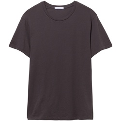 Textil Homem T-Shirt mangas curtas Alternative Apparel AT015 Multicolor
