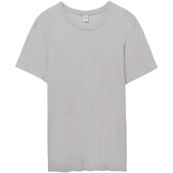 Textil Homem T-Shirt mangas curtas Alternative Apparel AT015 Cinza