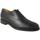 Sapatos Homem Sapatos & Richelieu Berwick 1707  Preto