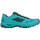 Sapatos Mulher Sapatilhas de corrida XT-6 Salomon X Alpine Pro Wn's Azul