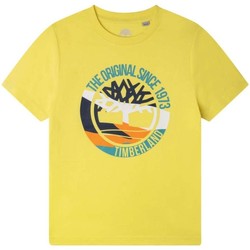 Textil Rapaz T-Shirt mangas curtas Timberland  Amarelo