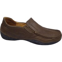 Sapatos Homem Sapatos & Richelieu Discovery DSL1178805 Castanho