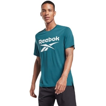 Textil Homem Reebok Bluzy z kapturem Reebok Sport Workout Ready Supremium Graphic Verde