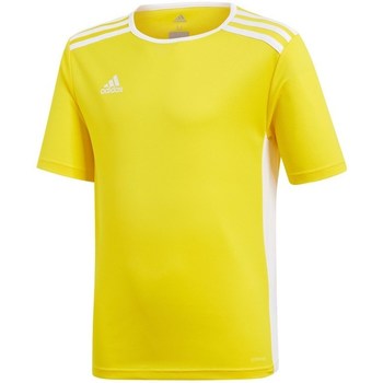 Textil Rapaz T-Shirt mangas curtas adidas Originals JR Entrada 18 Amarelo