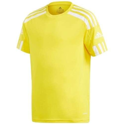 Textil Rapaz T-Shirt mangas curtas adidas Originals Squadra 21 Jersey Amarelo