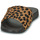 Sapatos Mulher chinelos FitFlop IQUSHION Leopardo / Preto