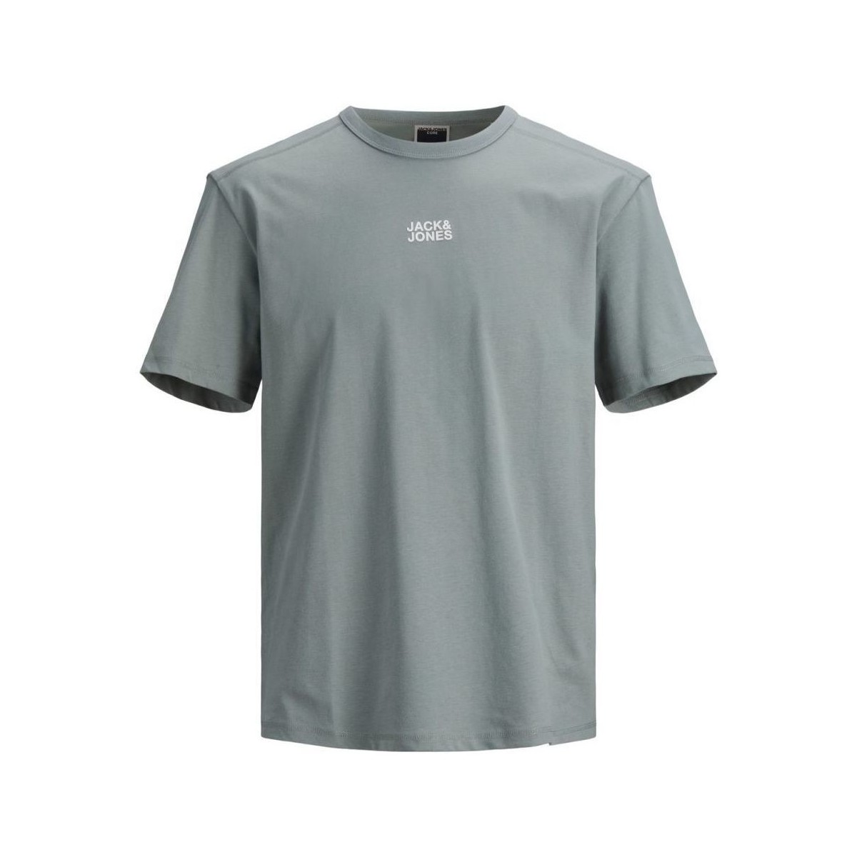 Textil Rapaz T-shirts e Pólos Jack & Jones 12195179 CLASSIC TEE-SLATE GRAY Cinza
