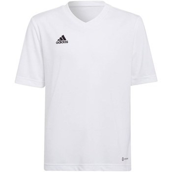 Textil Rapaz T-Shirt mangas curtas adidas Originals Entrada 22 Jsy Branco