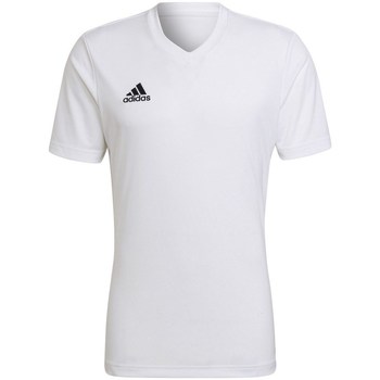 Textil Homem T-Shirt mangas curtas adidas Originals Entrada 22 Branco